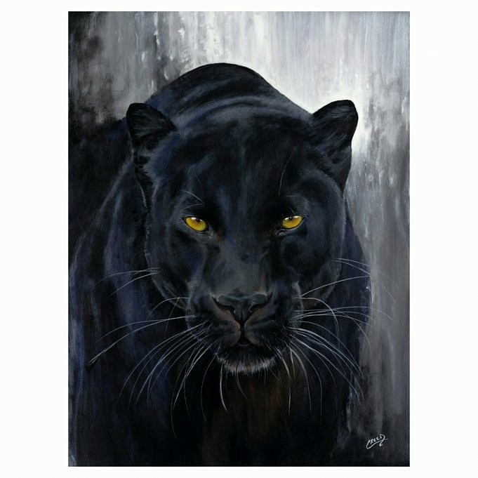 The Painted Panther